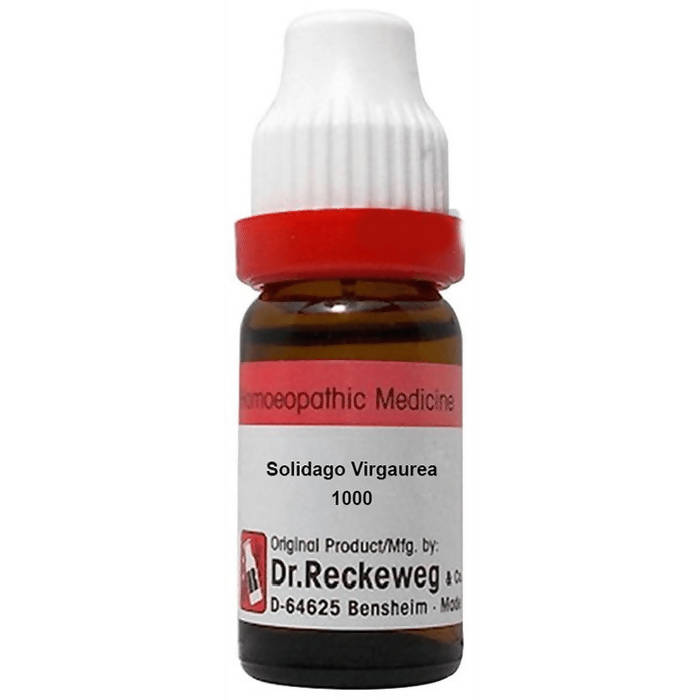 Dr. Reckeweg Solidago Virgaurea Dilution