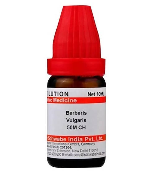 Dr. Willmar Schwabe India Berberis Vulgaris Dilution