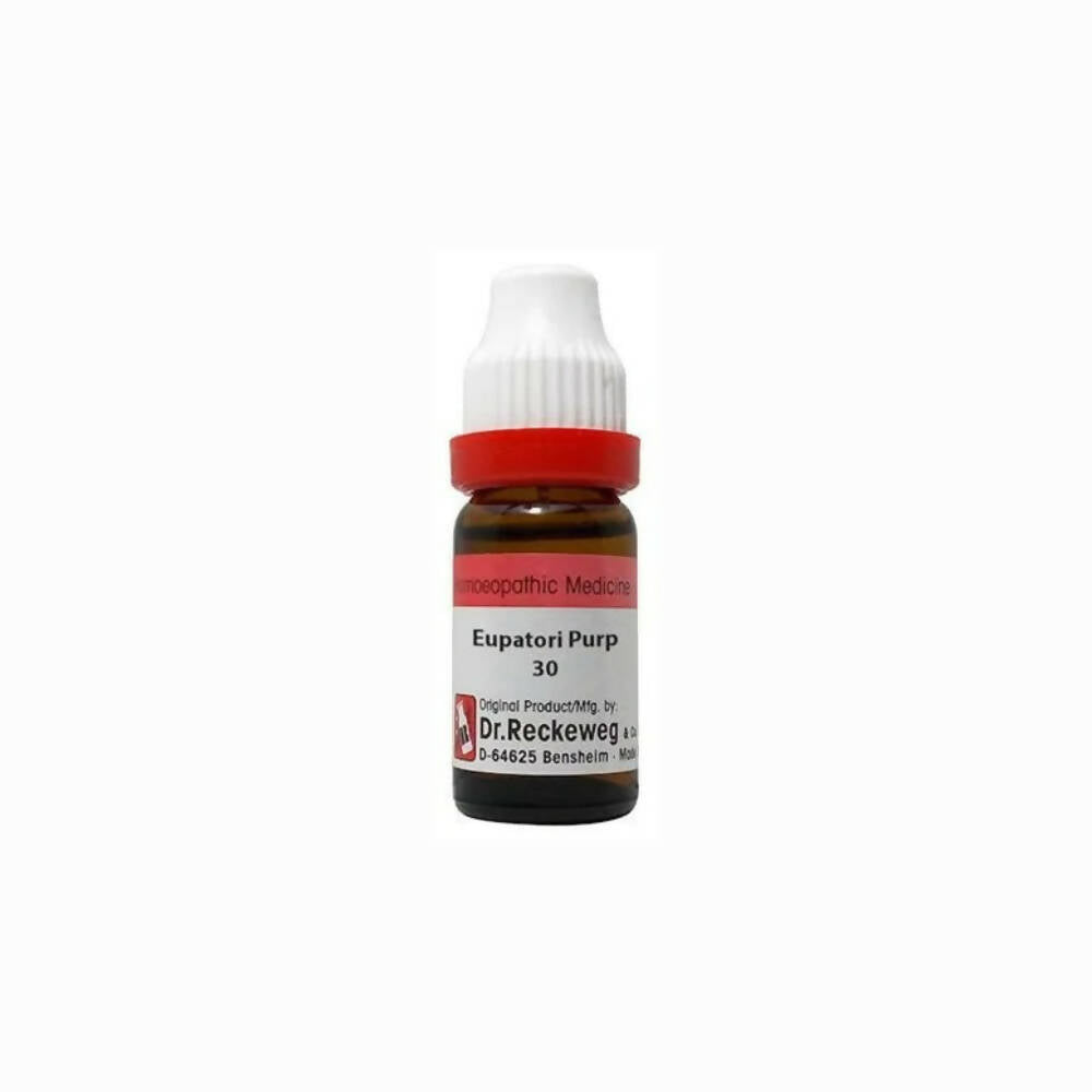 Dr. Reckeweg Eupatorium Purpureum Dilution