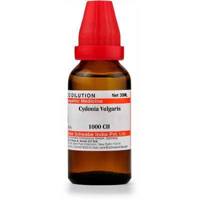 Dr Willmar Schwabe India Cydonia Vulgaris Dilution
