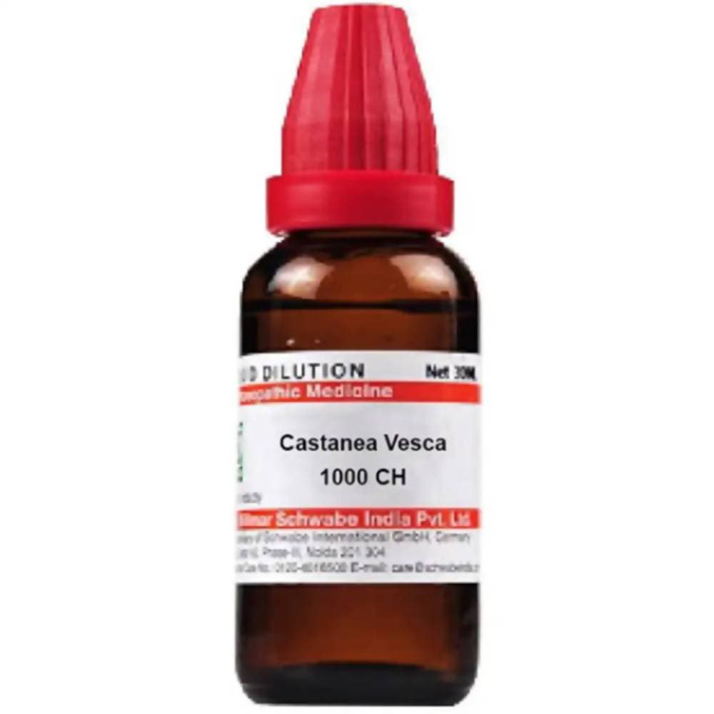 Dr. Willmar Schwabe India Castanea Vesca Dilution