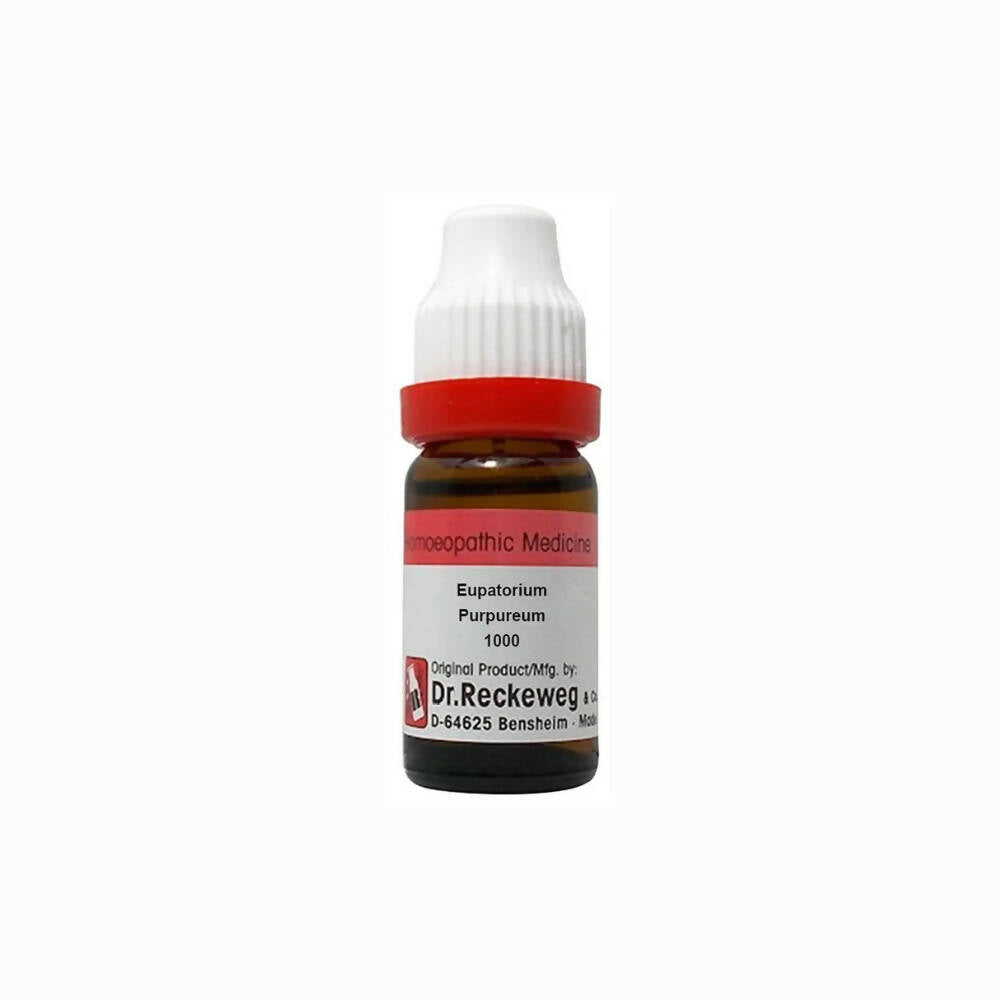 Dr. Reckeweg Eupatorium Purpureum Dilution