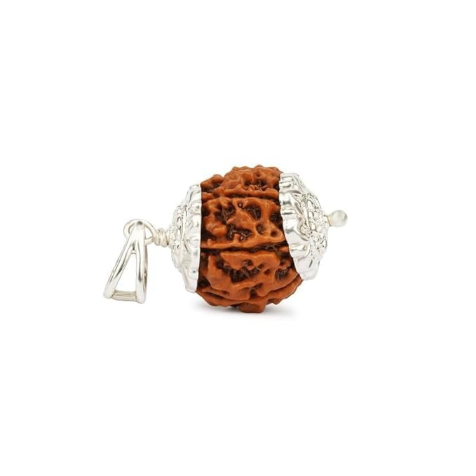 7 Mukhi Rudraksha Bead | With pendent| Medium Size| Regular Size | Original Nepali