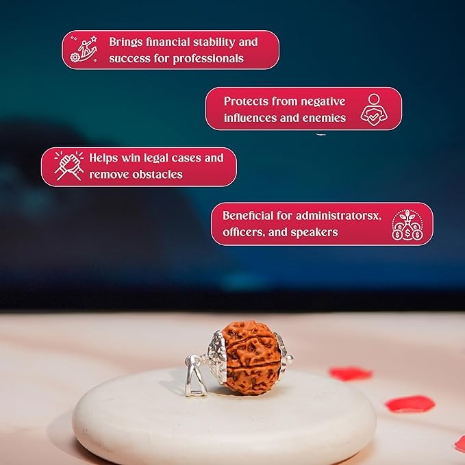 7 Mukhi Rudraksha Bead | With pendent| Medium Size| Regular Size | Original Nepali