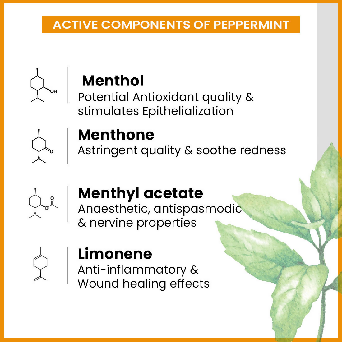 Keya Seth Aromatherapy Energizing Body Massage Oil