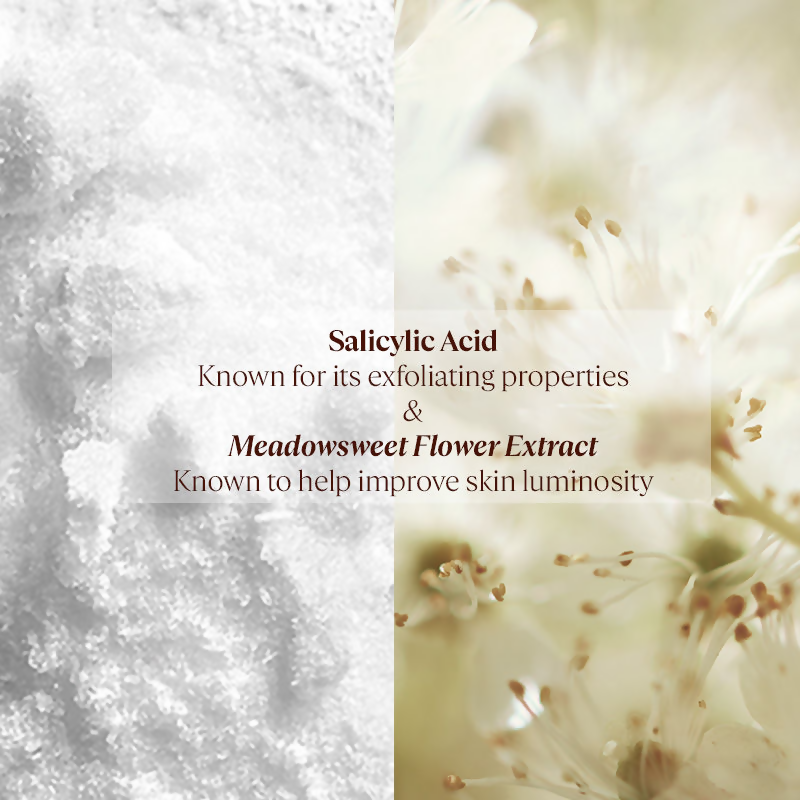 L'Occitane Reine Blanche Intense Illuminating Foam