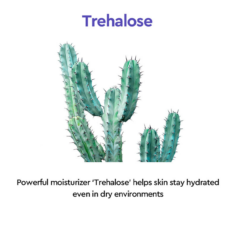 Dewytree Moisture Charging Anti-Ageing Collagen Korean Cream