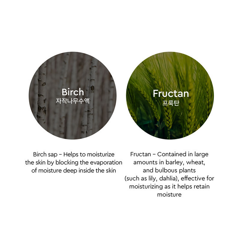 Dewytree Moisture Repair Tinted Korean Sunscreen SPF 50+ PA++++