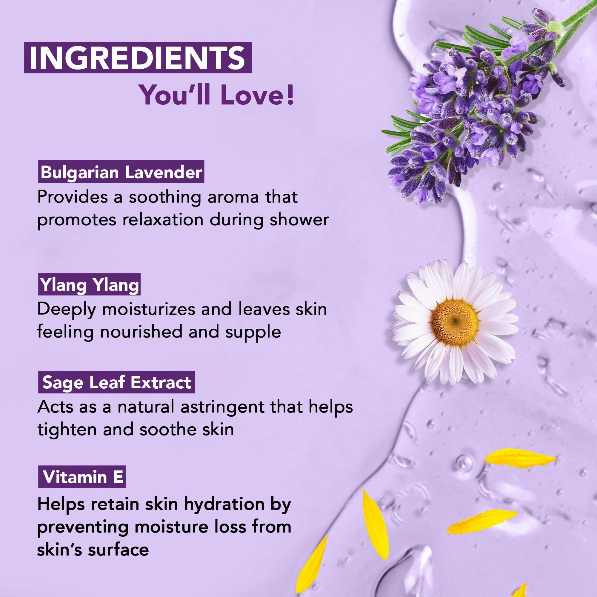 Botanic Hearth Bulgarian Lavender & Ylang Ylang Body Wash with Vitamin E, Sage Leaf Extracts