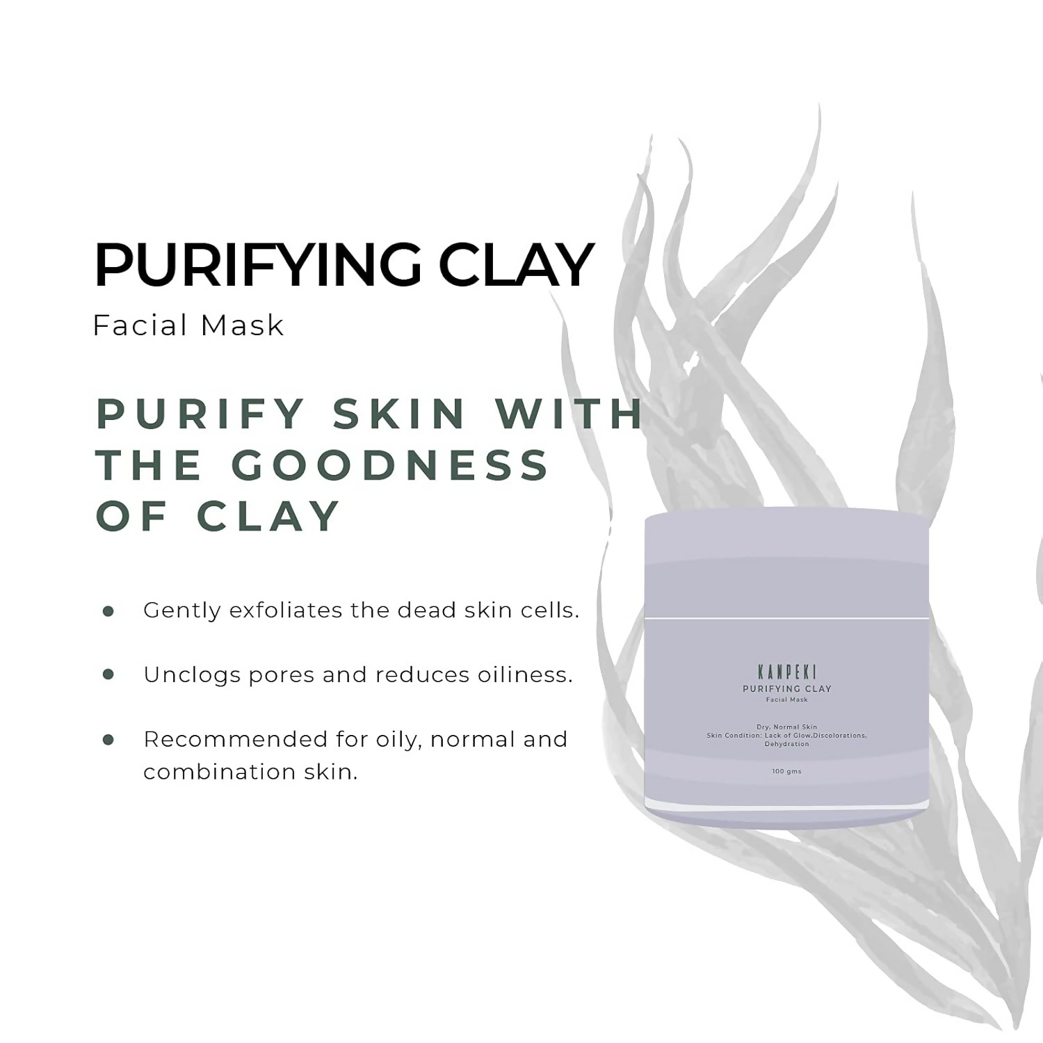 Kanpeki Purifying Facial Clay Mask