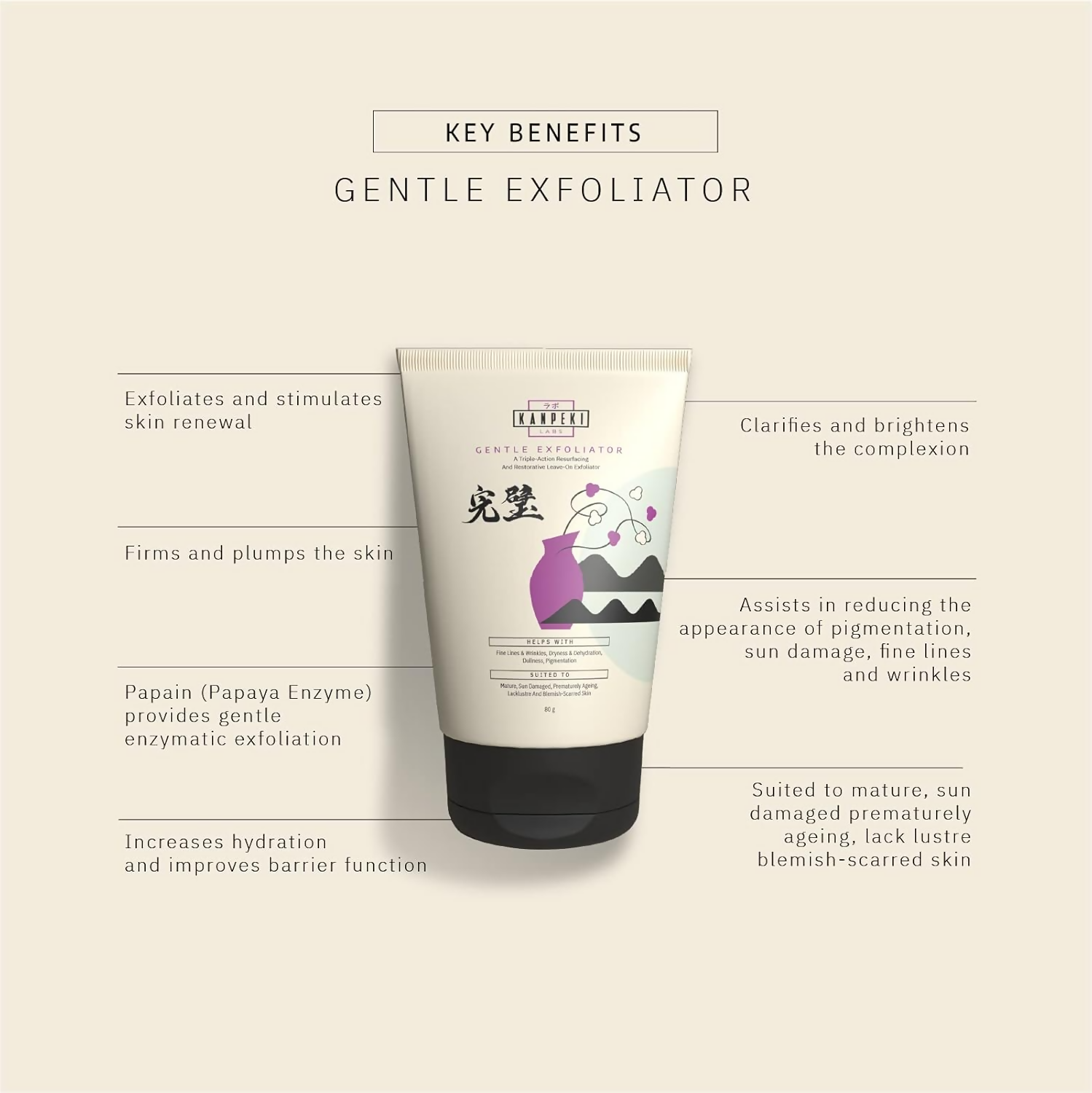 Kanpeki Labs – Gentle Facial Exfoliator/Scurb