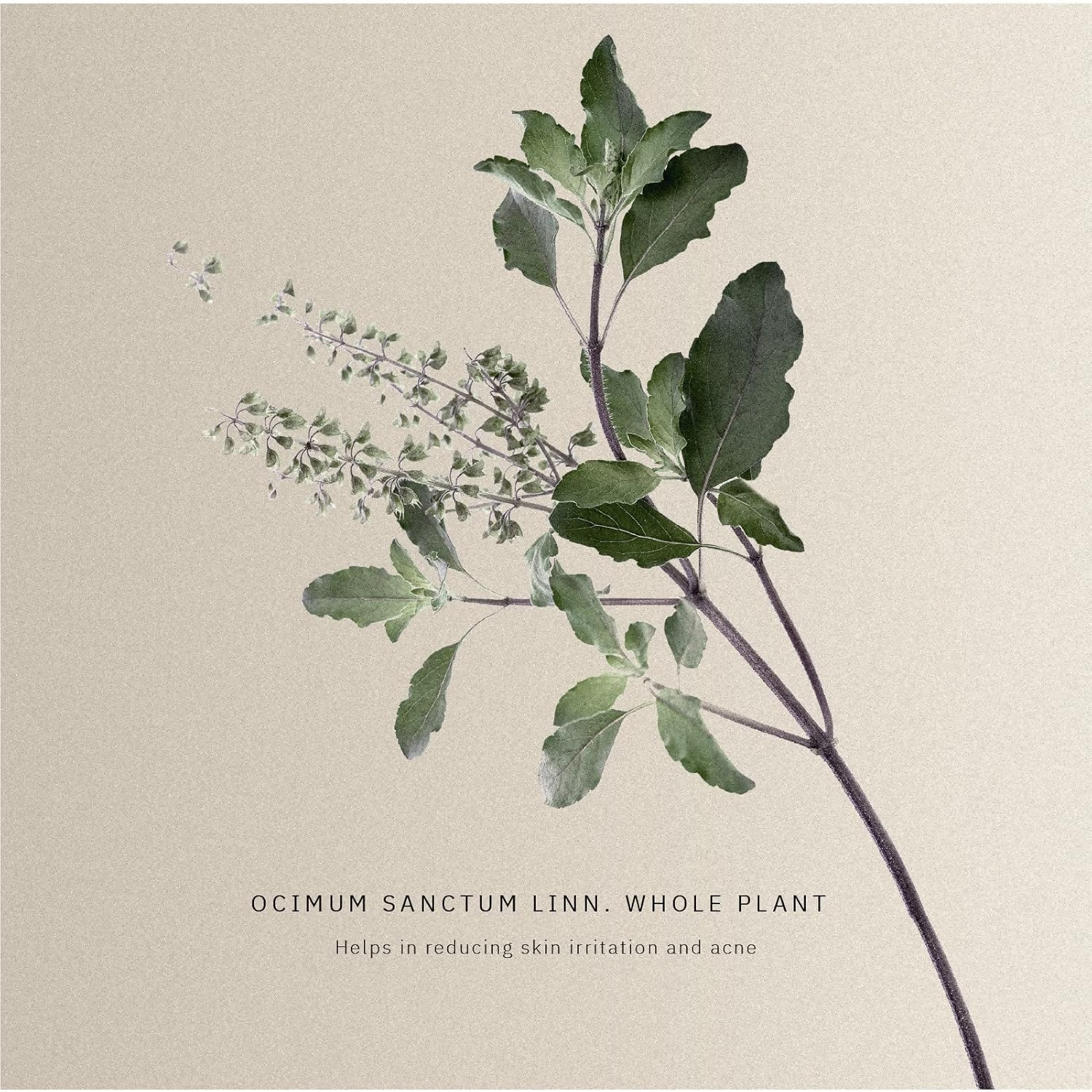 Kanpeki Lipid Matrix Ultra Filler Face Serum