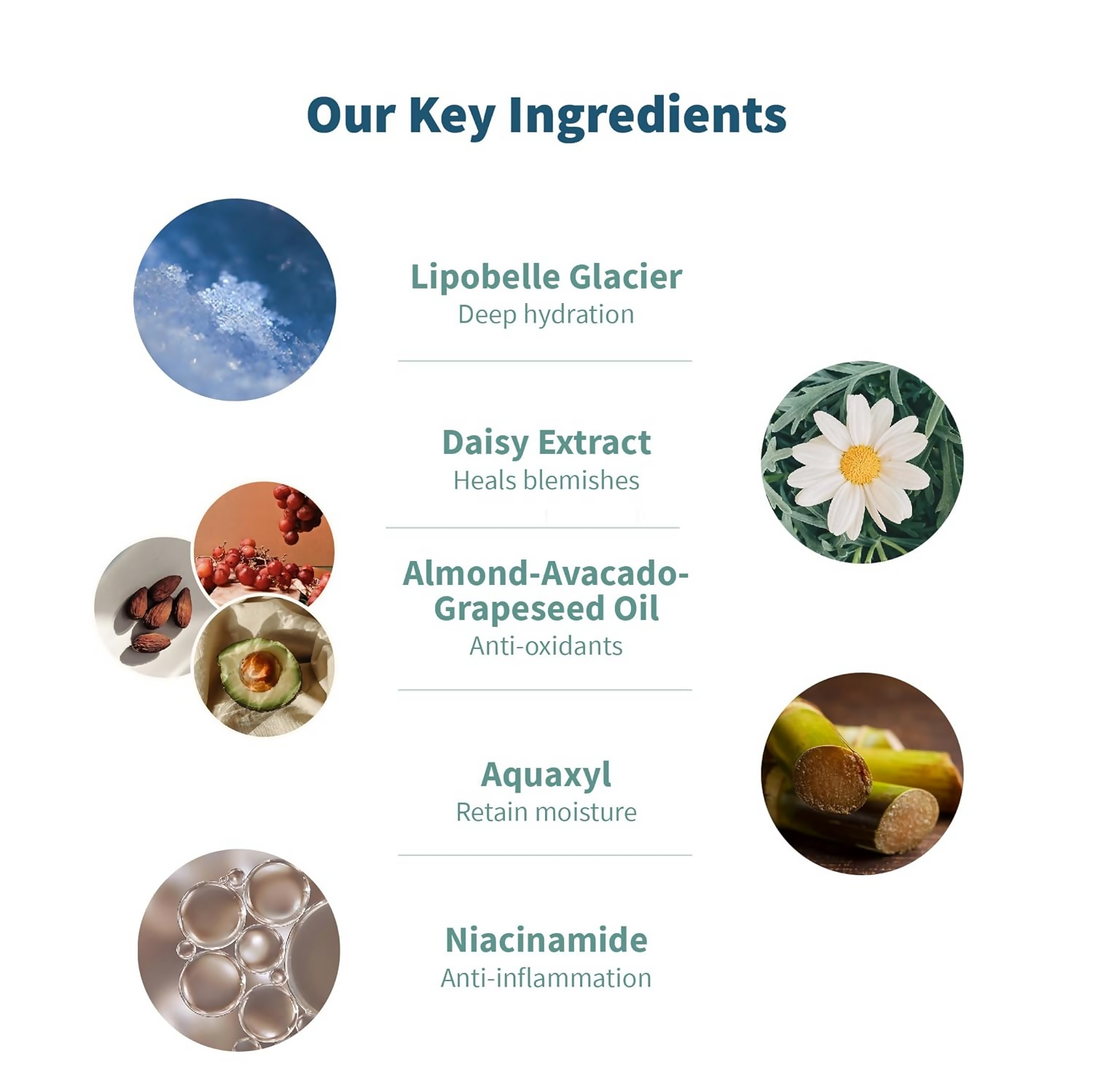 Meola Swiss Glacier Day Cream With Avocado, Almond & Grapeseed Oil