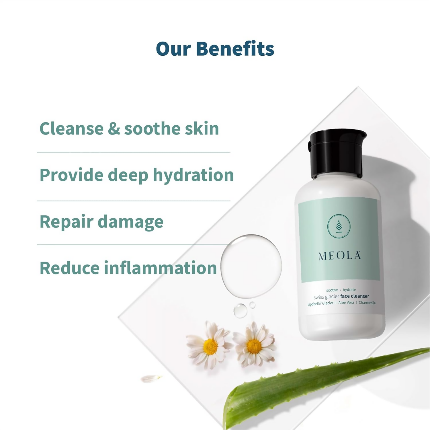 Meola Swiss Glacier Face Cleanser