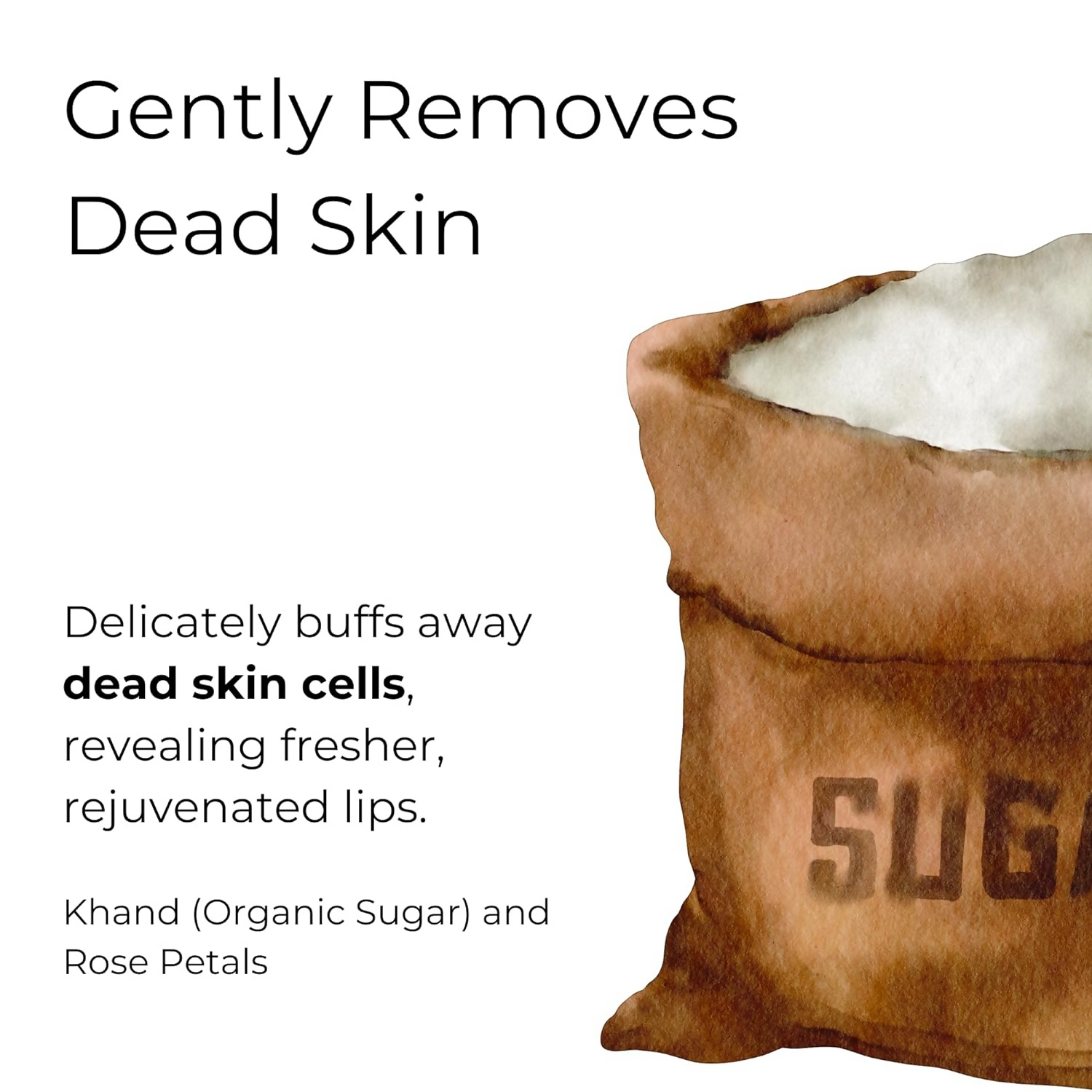 Noor Skincare Rose Lip Scrub