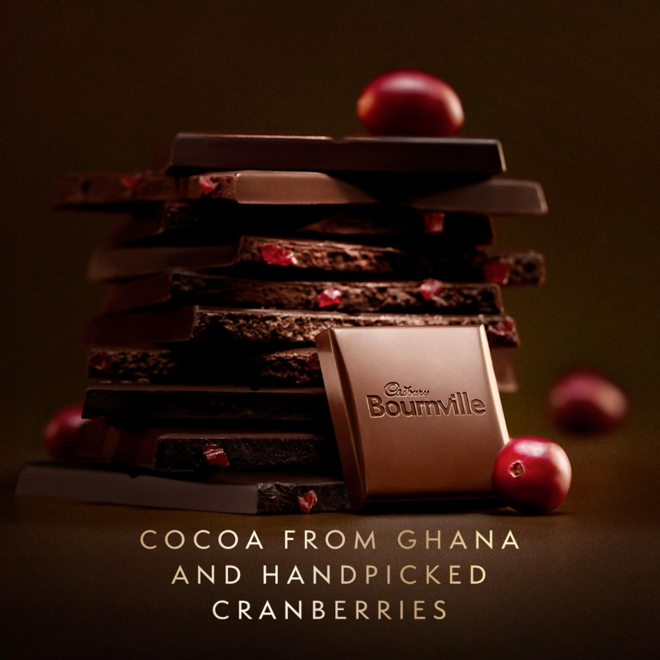 Cadbury Bournville Cranberry Dark Chocolate Bar