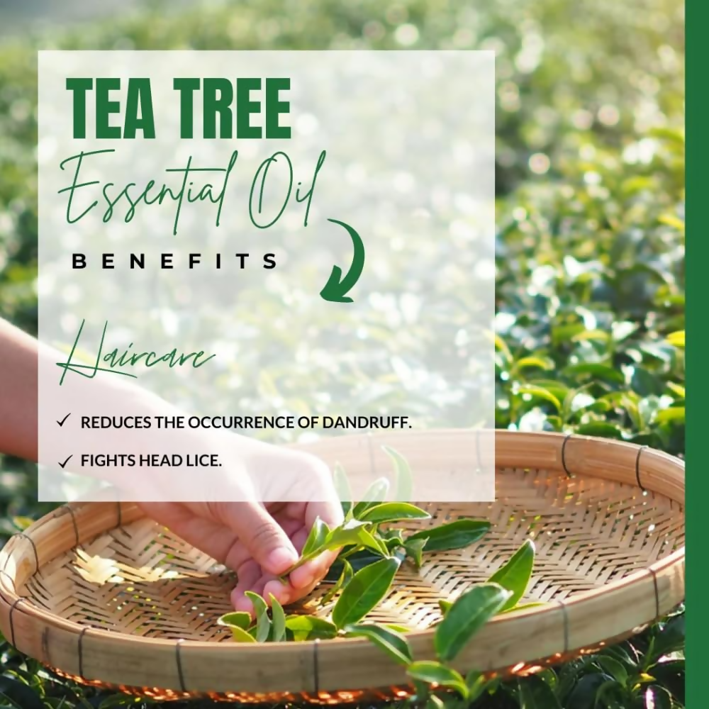 Camia Organic Tea Tree Essential Oil