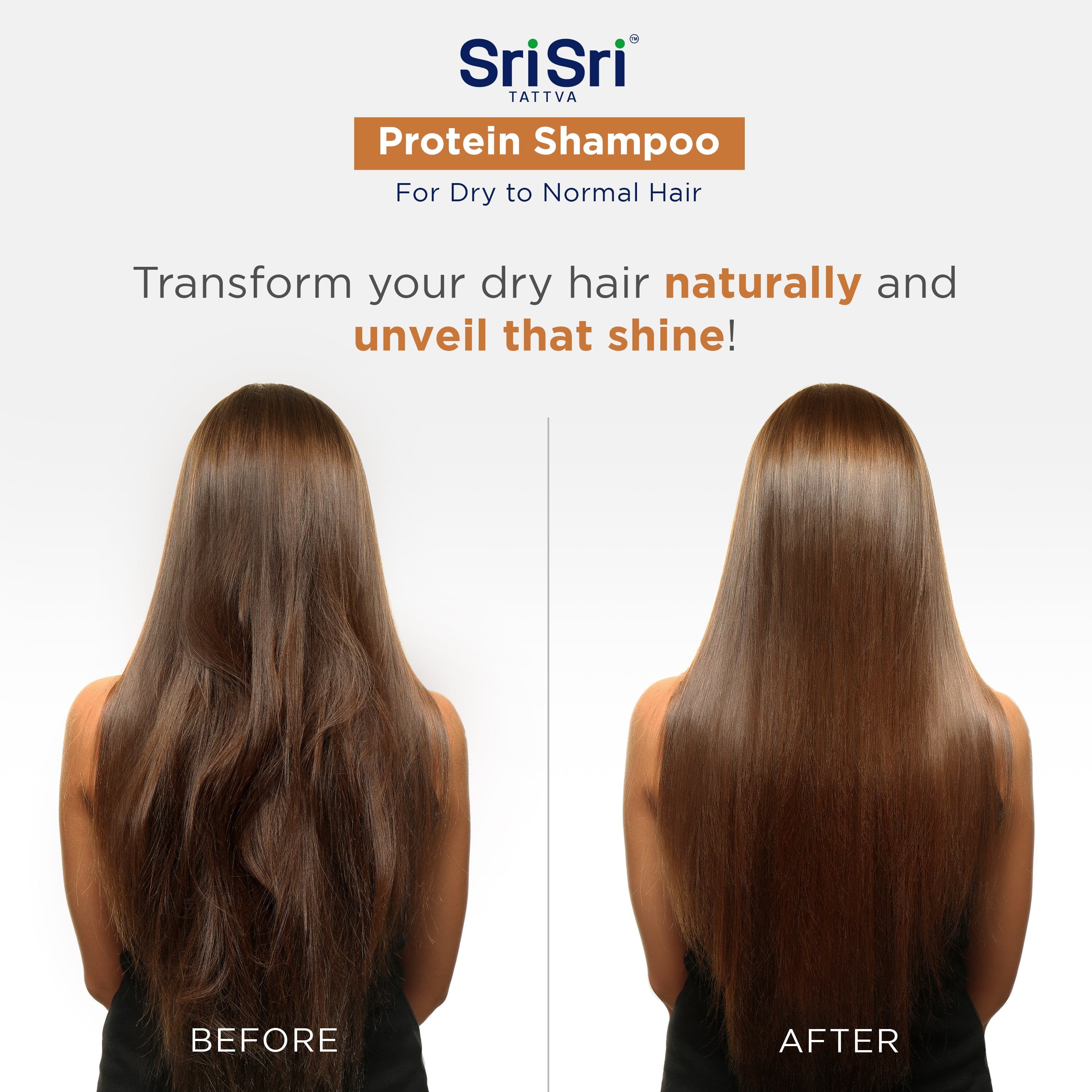 Protein Shampoo