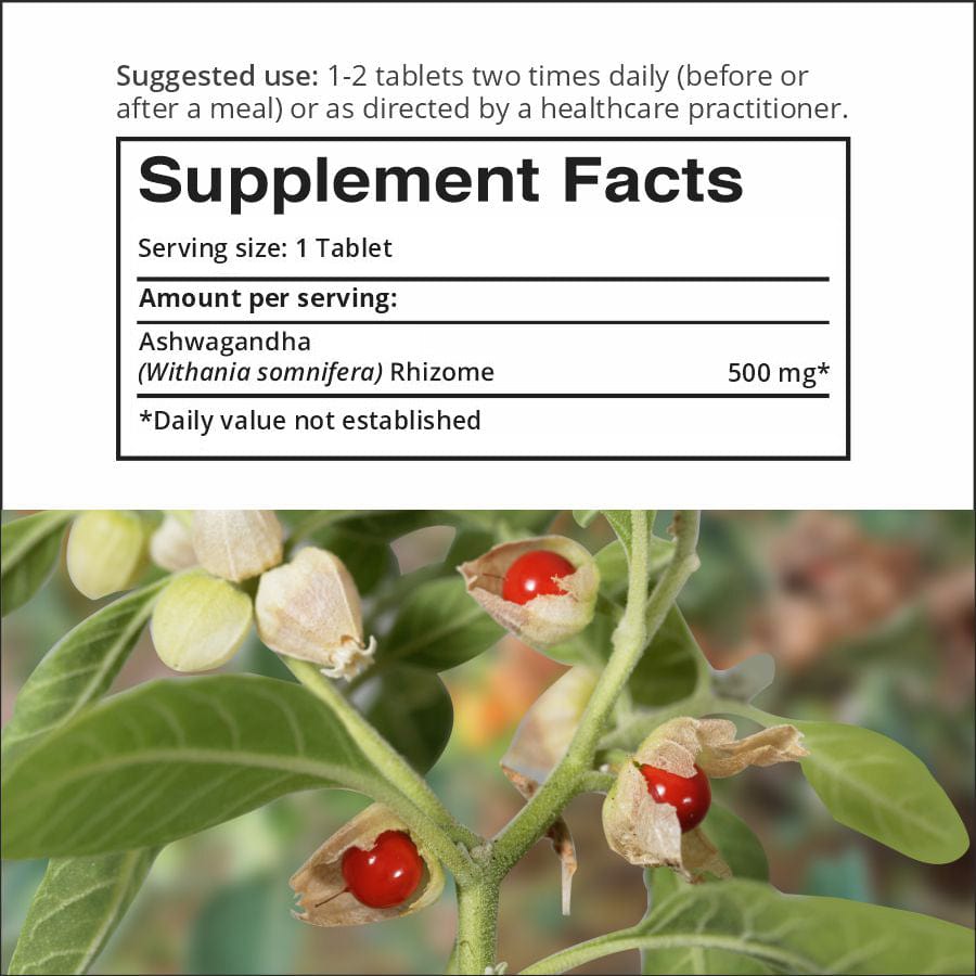 Ashwagandha: Ancient Ayurvedic Herb for Restful Sleep and a Calm Mind
