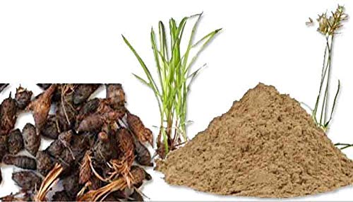 Musta Powder/korai kilangu/Cyperus Rotundus/Nut Grass Powder(100,500 gm)